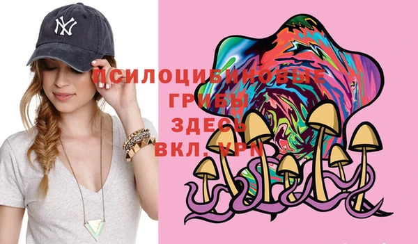 mix Бородино