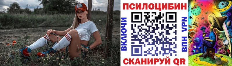 Псилоцибиновые грибы Psilocybine cubensis  Купить закладки  Валдай 