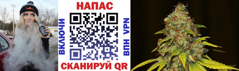 Канабис сатива Купить где Валдай